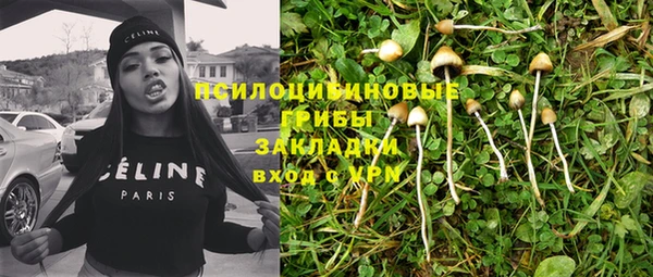 дурь Алексин
